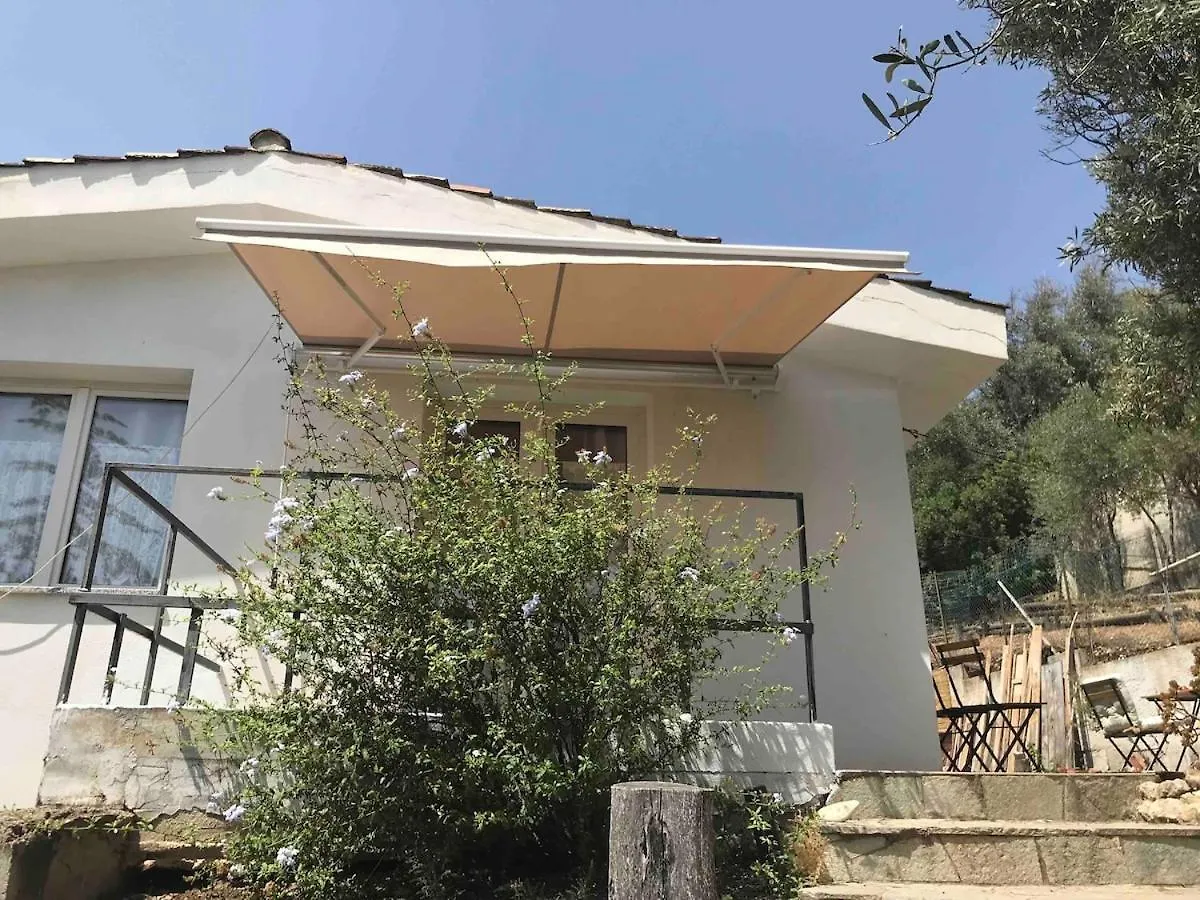 Konukevi Villa Sofia Capitana İtalya